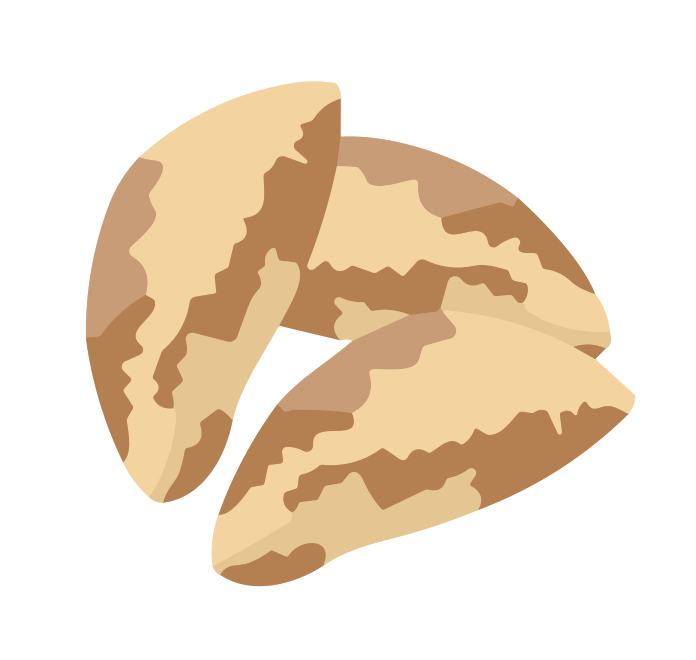 Brazil nuts-icon