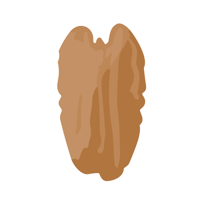 Pecans-icon